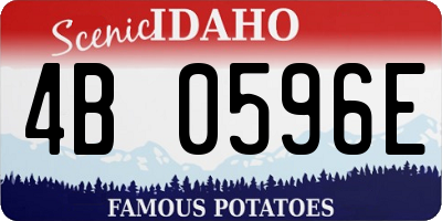 ID license plate 4B0596E