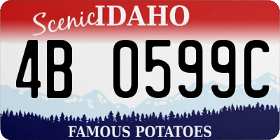 ID license plate 4B0599C