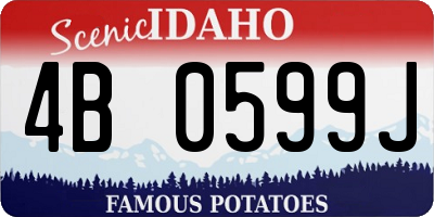 ID license plate 4B0599J