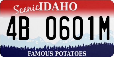 ID license plate 4B0601M