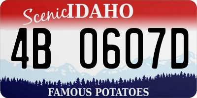 ID license plate 4B0607D
