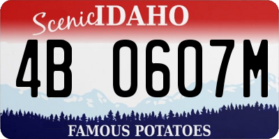 ID license plate 4B0607M