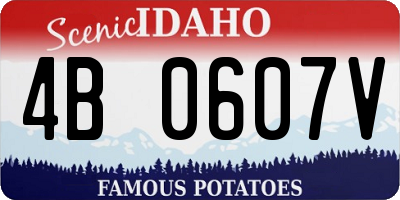 ID license plate 4B0607V