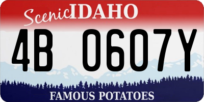 ID license plate 4B0607Y