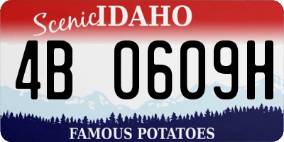 ID license plate 4B0609H