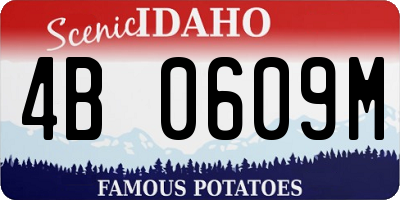 ID license plate 4B0609M
