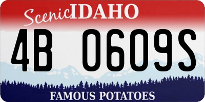 ID license plate 4B0609S
