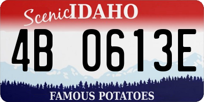 ID license plate 4B0613E