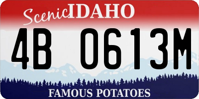 ID license plate 4B0613M