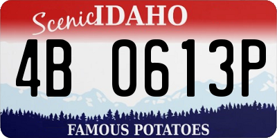 ID license plate 4B0613P