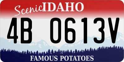 ID license plate 4B0613V