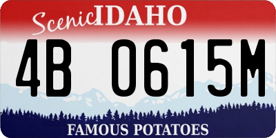ID license plate 4B0615M