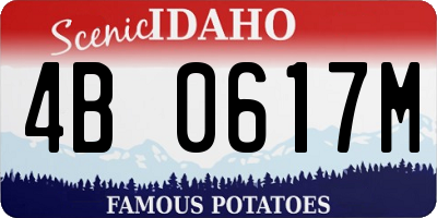 ID license plate 4B0617M