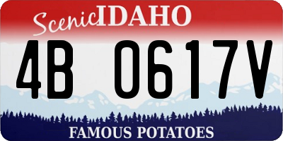 ID license plate 4B0617V
