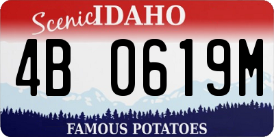 ID license plate 4B0619M