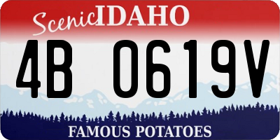 ID license plate 4B0619V