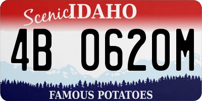 ID license plate 4B0620M