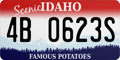 ID license plate 4B0623S