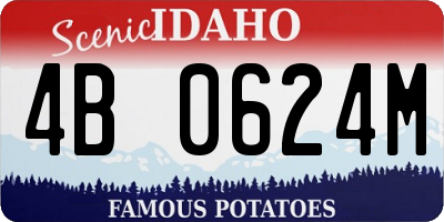 ID license plate 4B0624M