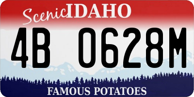 ID license plate 4B0628M