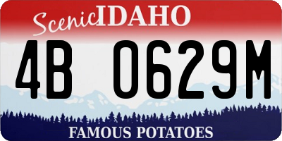 ID license plate 4B0629M