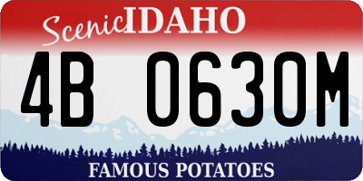 ID license plate 4B0630M
