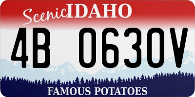 ID license plate 4B0630V