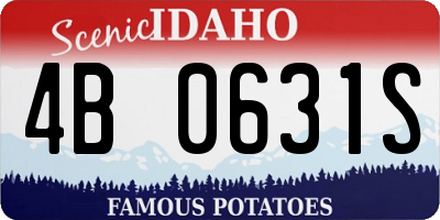 ID license plate 4B0631S
