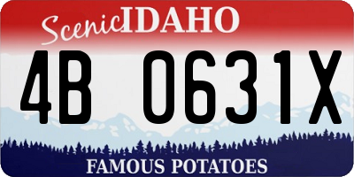ID license plate 4B0631X