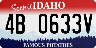 ID license plate 4B0633V