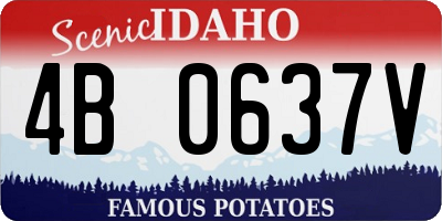 ID license plate 4B0637V