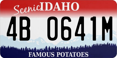 ID license plate 4B0641M