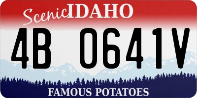 ID license plate 4B0641V