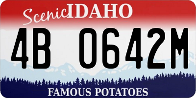 ID license plate 4B0642M