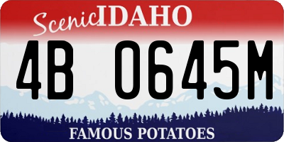 ID license plate 4B0645M