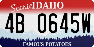 ID license plate 4B0645W