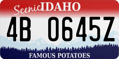 ID license plate 4B0645Z