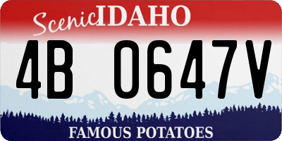 ID license plate 4B0647V