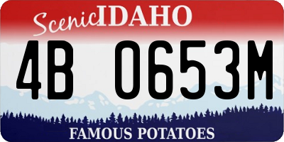 ID license plate 4B0653M
