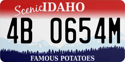 ID license plate 4B0654M