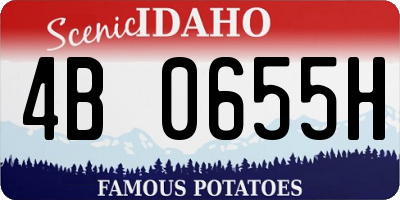 ID license plate 4B0655H