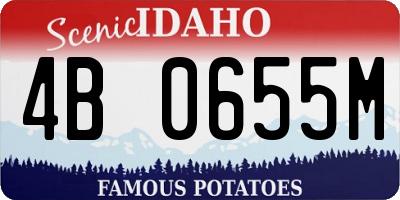 ID license plate 4B0655M