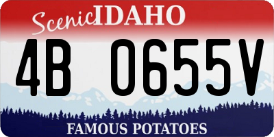 ID license plate 4B0655V