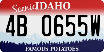 ID license plate 4B0655W