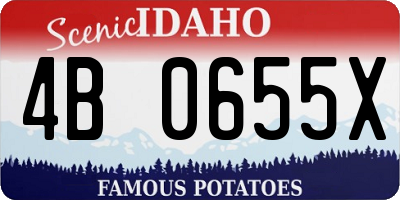 ID license plate 4B0655X
