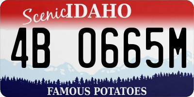 ID license plate 4B0665M