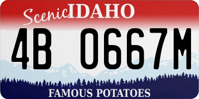 ID license plate 4B0667M
