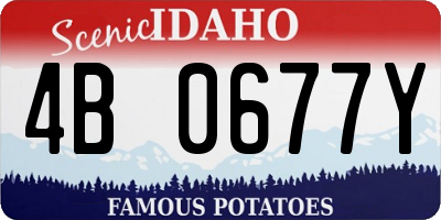 ID license plate 4B0677Y