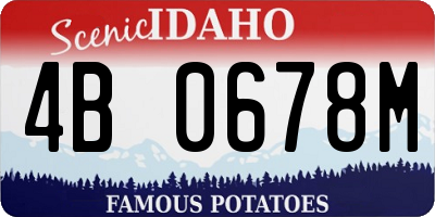 ID license plate 4B0678M