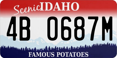 ID license plate 4B0687M